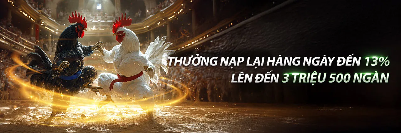 Tin tức big888 mới nhất về cá cược và giải trí